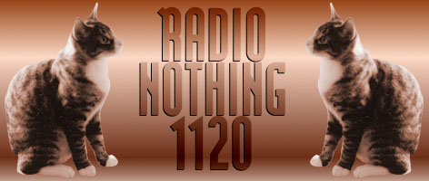 Radio Nothing 1120