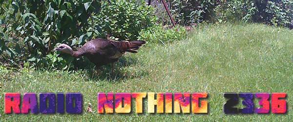 Radio Nothing 2336