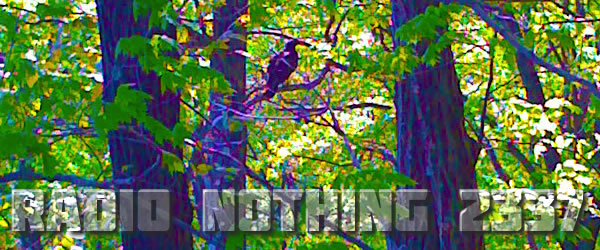 Radio Nothing 2337