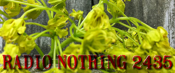 Radio Nothing 2435