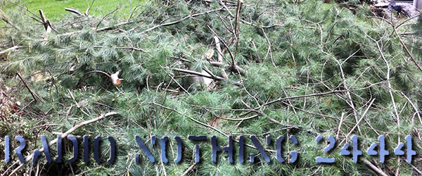 Radio Nothing 2444