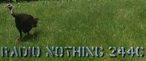 Radio Nothing 2446
