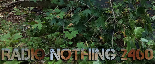 Radio Nothing 2460