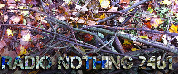 Radio Nothing 2461