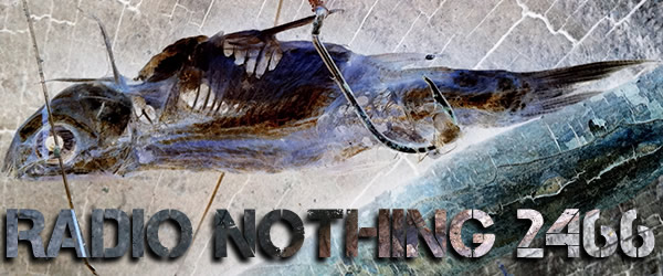 Radio Nothing 2466