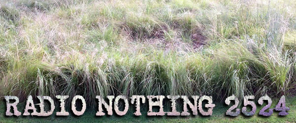 Radio Nothing 2524