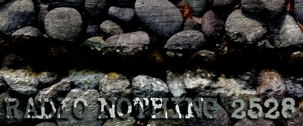 Radio Nothing 2528