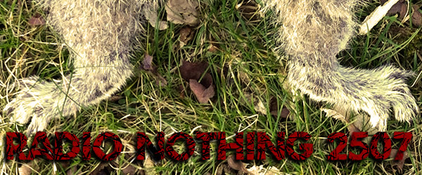 Radio Nothing 2507