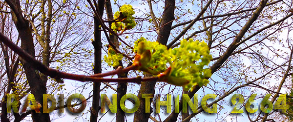 Radio Nothing 2664