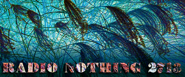 Radio Nothing 2713