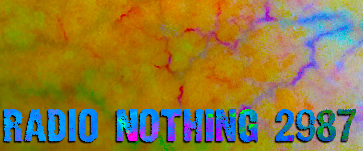 Radio Nothing 2987