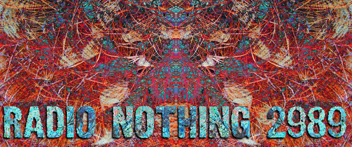 Radio Nothing 2989